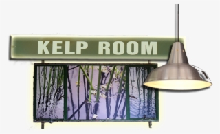 Kelp Room Title - Billboard