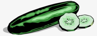 Vector Illustration Of Culinary Edible Vegetable Cucumber - Cucumber Clipart