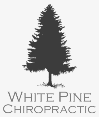 Washington State Pine Tree