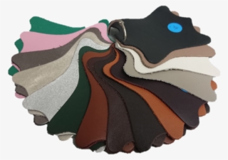 Leather Sample 1-1