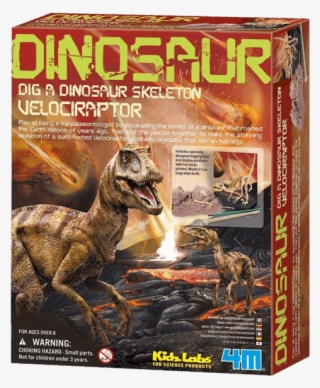 Dinosaur Dig A Dinosaur Skeleton Velociraptor
