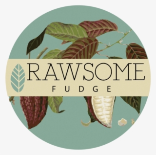 Rawsome Fudge