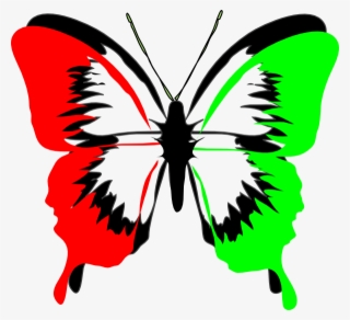 This Free Clip Arts Design Of Rbg Butterfly Png