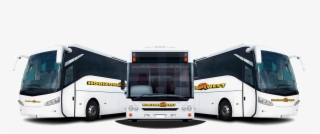 Our Fleet Of Busses For Hire - City Bus