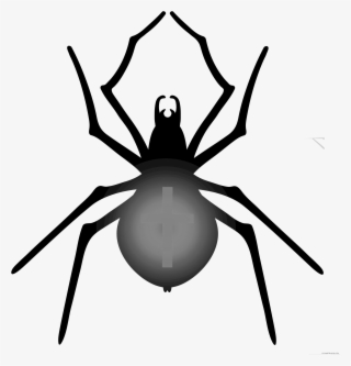 Halloween Clipart Spider - Halloween Spider Png