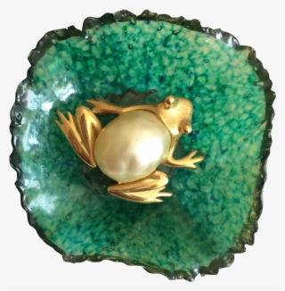 This Pearl Belly Frog Lounges On A Large Lily Pad Ready - Ring