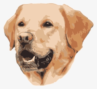 Lapter Dog