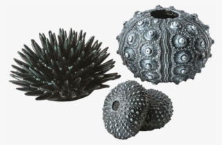 Biorb Sea Urchins Set
