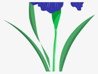 Iris Clipart Iris Flower - Cartoon Iris Flower