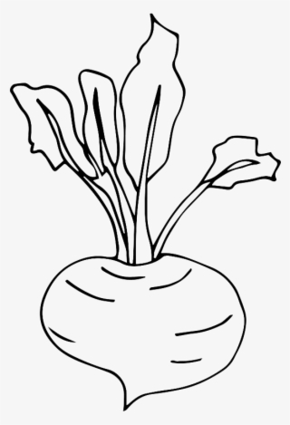 Line Art
