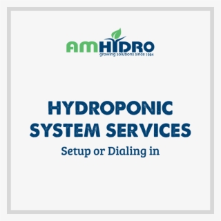 Hydroponic System Services - Art Services