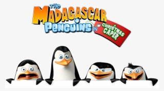 The Madagascar Penguins In A Christmas Caper Image - Penguins Of Madagascar Png