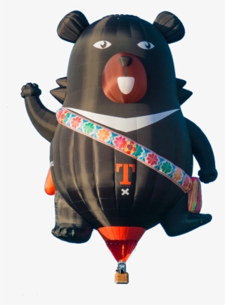Black Bear Pilot