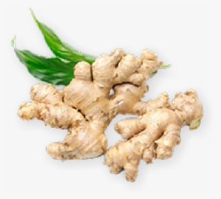 Fresa Healthy Food - Ginger In White Background