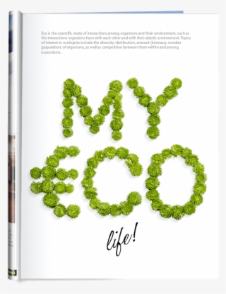 Green Flower Font - Book