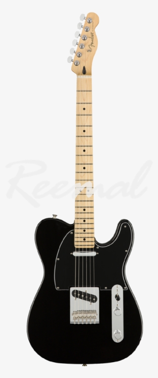 Fender Electric Guitar Player Series Telecaster Maple - Fender Player Series Telecaster Black