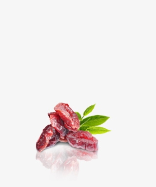 Dried Cranberries - Rosa Glauca