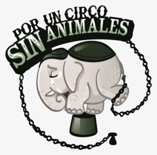 El Domingo 24 De Septiembre De 2017 En Salamanca, Varias - Circo Sin Animales