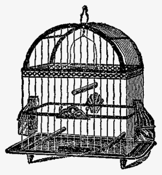 Digital Birdcage Downloads - Cage