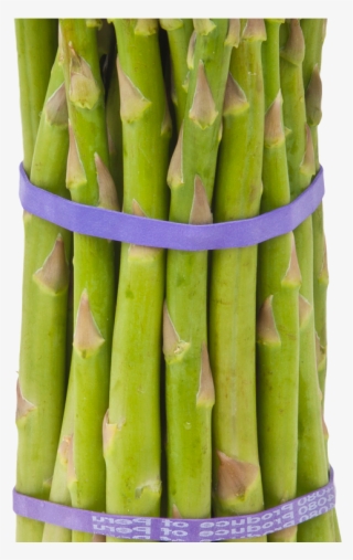 Asparagus Png Image4