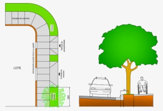 Em Mais Uma Importante Ação Ambiental, A Prefeitura - Diagram