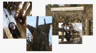 Layman Family Farms - Layman Farm Haunted Harvest
