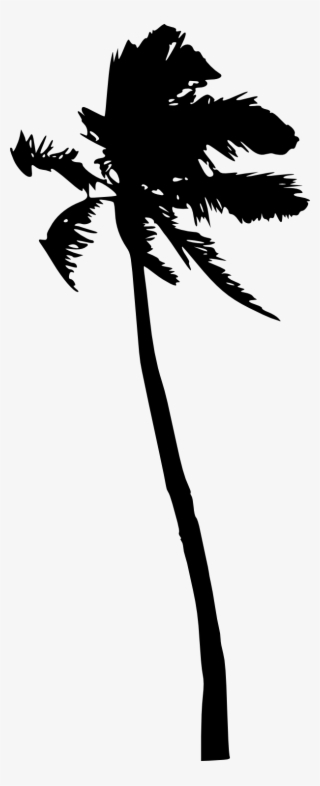 20 Palm Tree Silhouette Vol - Silhouette