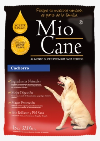 Mio Cane Cachorro Png - Companion Dog
