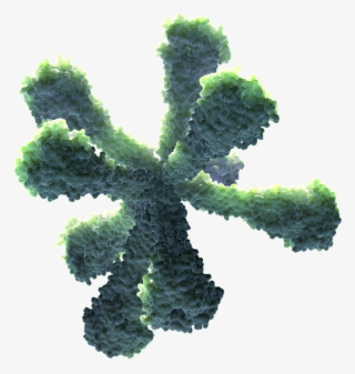 Recombinant Nanoparticle Technology - Lodgepole Pine