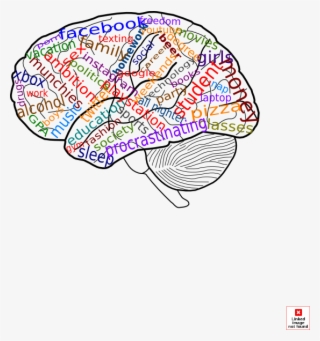 Brains Clipart Distracted - Distractions Clipart Png