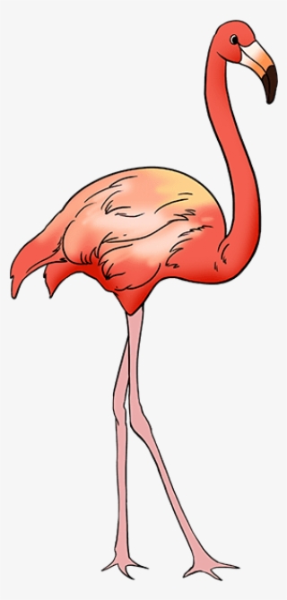 680 X 678 2 - Easy Flamingo Drawing