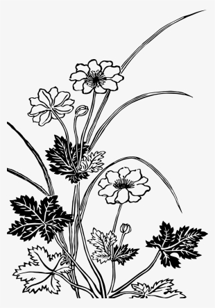 Download Png - Flowering Plants Black And White