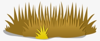 Dry Clipart Group - Dry Grass Clipart