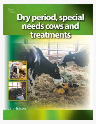 Dry Period, Special Needs Cows And Treatments Brings - Poster