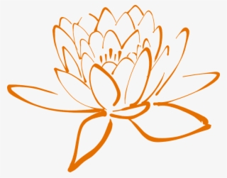 Lotus Blossom Flower Nature Plant Beautiful Petal - Gambar Bunga Mekar Kartun