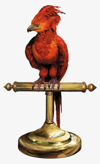 Image Fawkes Perch Png