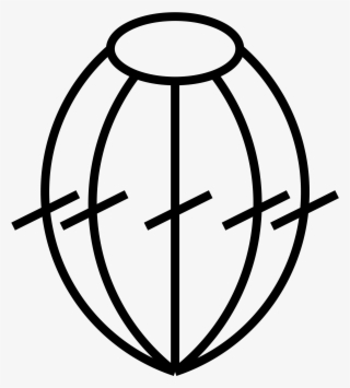 Open - Circle