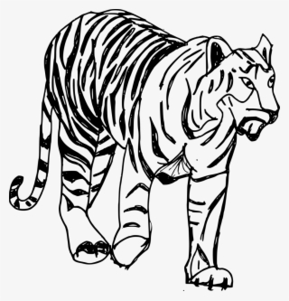 Png File Size - Tiger Drawing Transparent