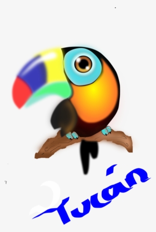 Toucan Parrot Colombia Computer Icons Beak - Clip Art Tucan