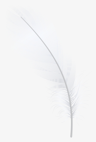 Feather White Png Clip Art - Darkness