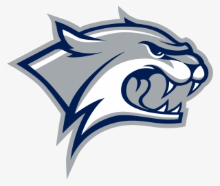 Sizing Up The Wildcats - New Hampshire Wildcats