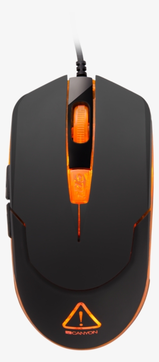 Cnd Sgm1 - Mouse