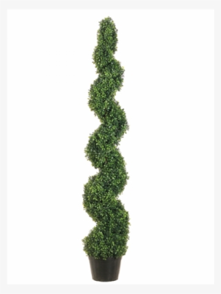5' Knock-down Pond Boxwood Spiral Topiary In Plastic - Topiary