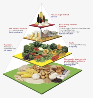 Malaysian Food Pyramid - Food Pyramid Malaysia 2018