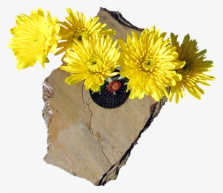 Image Of Slate Ikebana Vase - Chrysanths