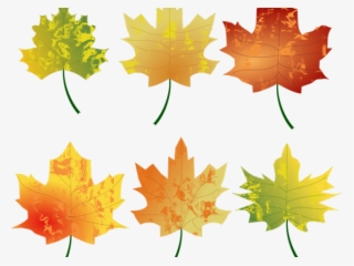 Fall Leaves Graphic - Color Hojas De Otoño