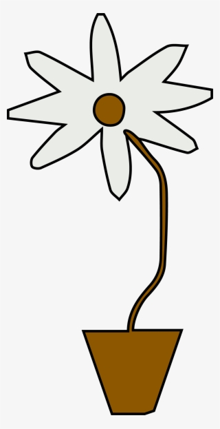 Daisy Clip Art Png Flower