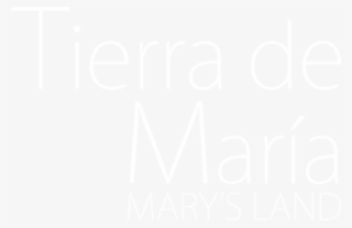 Tierra De María - Twitter White Icon Png