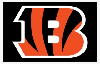 Cincinnati Bengals Iron On Stickers And Peel-off Decals - Seize The Day Bengals