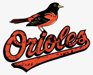 Baltimore Orioles 2009-present Primary Logo Distressed - Baltimore Orioles